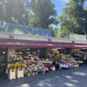 Meet your Posher, Kylie